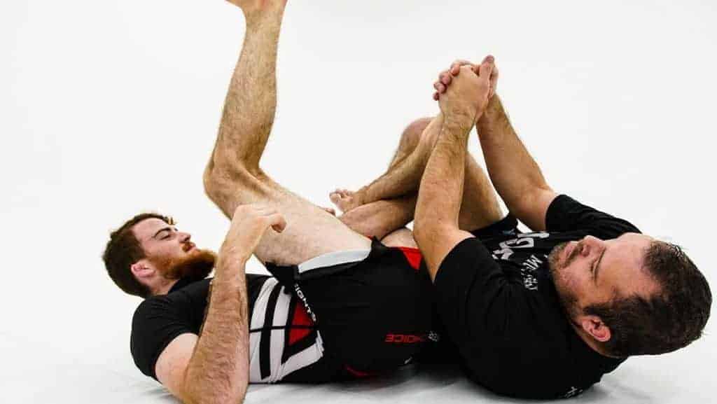 The (Almost) Complete Jiu Jitsu Dictionary