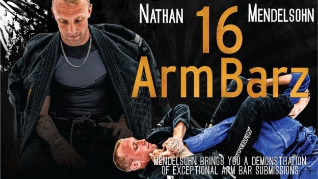 16 Armbarz