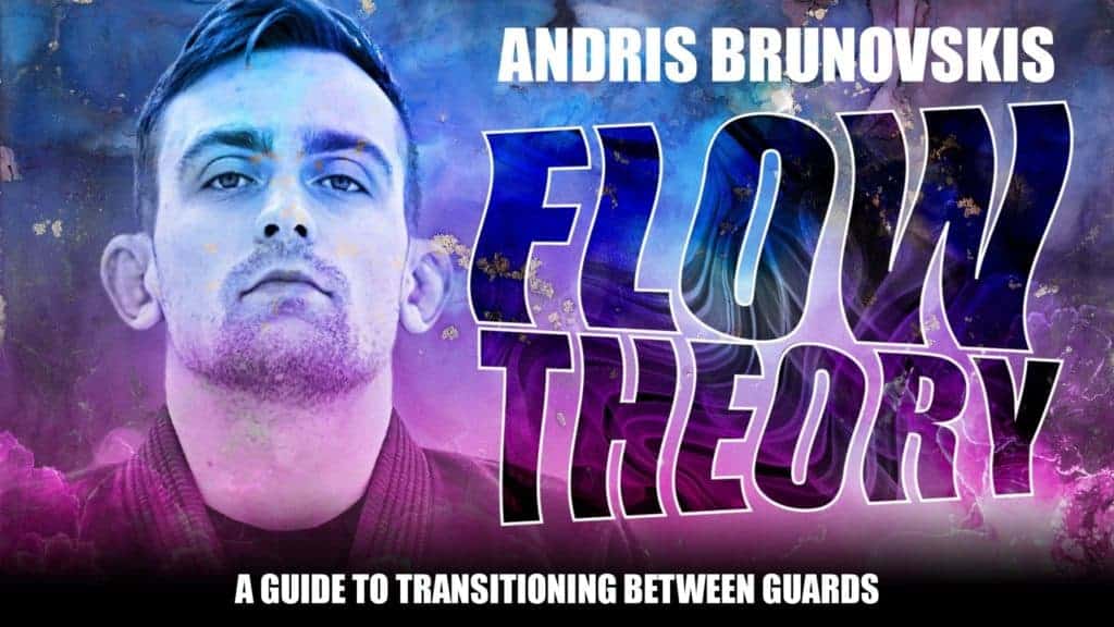 Portrait of Andris Brunovskis in a pink and blue gradient next to a text reading out "Flow Theory"