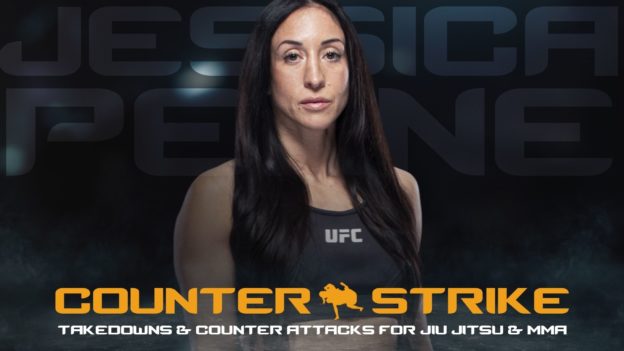 Counter Strike – Takedowns & Counter Attacks
