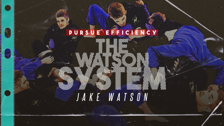 The Watson System